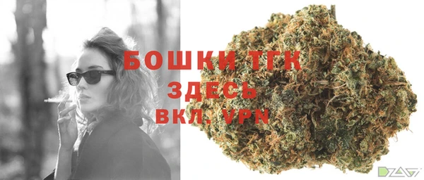 ешки Алексеевка